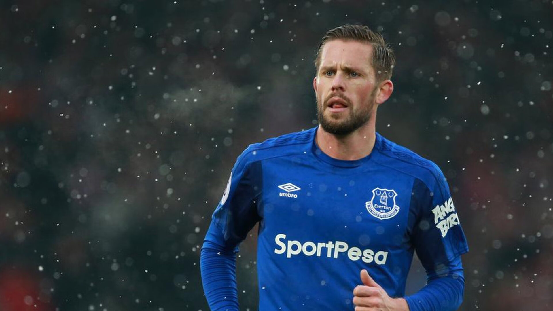 游泳赛事观众人数不断增长